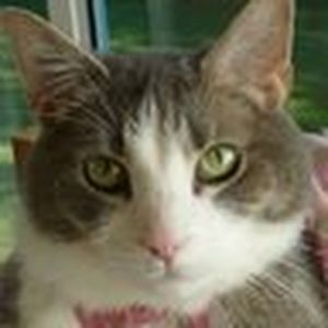 Meet your Posher, Kay